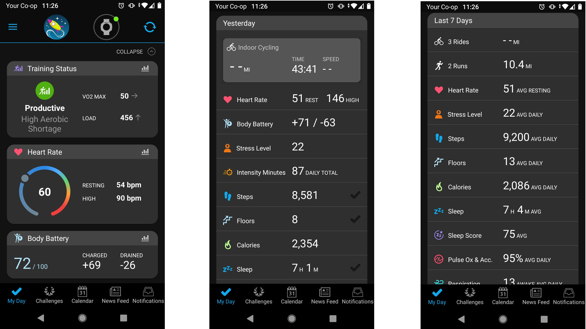 Garmin Connect app screengrabs