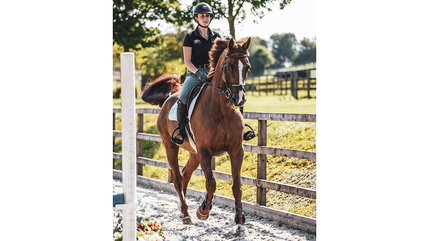 How to collect a horse