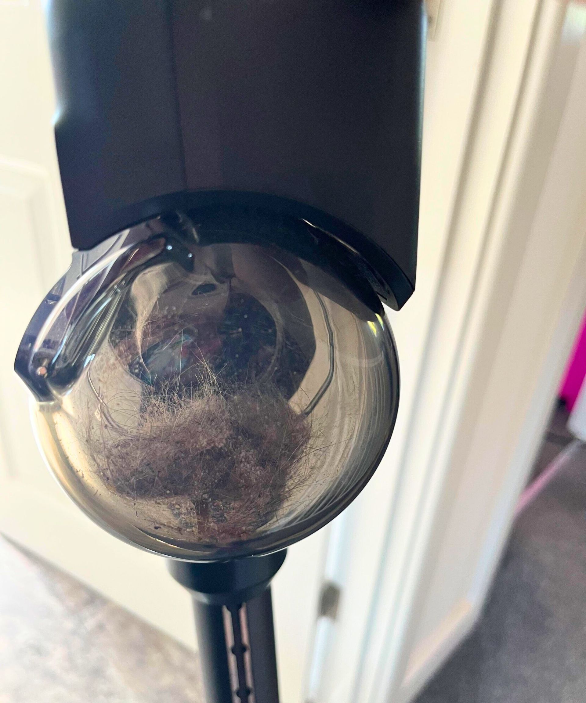A ball of cat hair and dust inside a transparent dust bin in a cordless vacuum