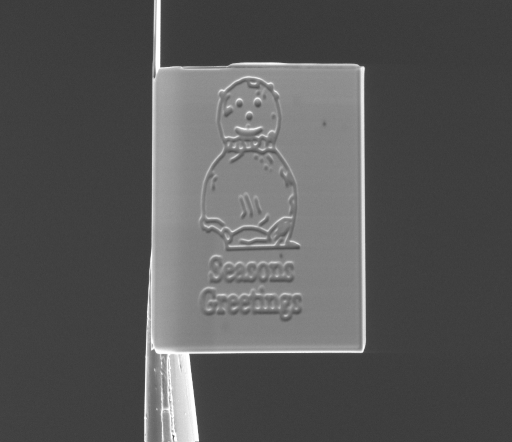 Made from platinum-coated silicon nitride, the card is ten times smaller than the previous record-holder, a "nanosnowman."