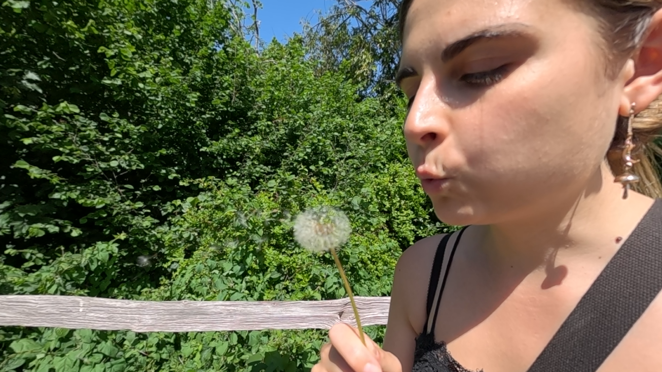 an out of focus dandelion being blown