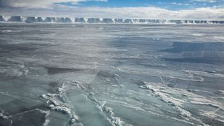 A close-up photo of thin ice on the sea surface near Antarctica