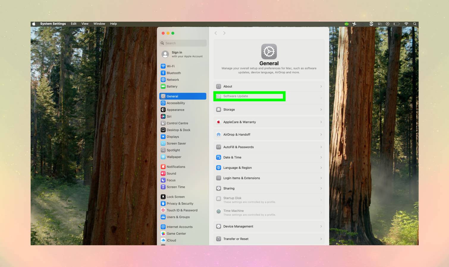 Software Update highlighted in Mac settings