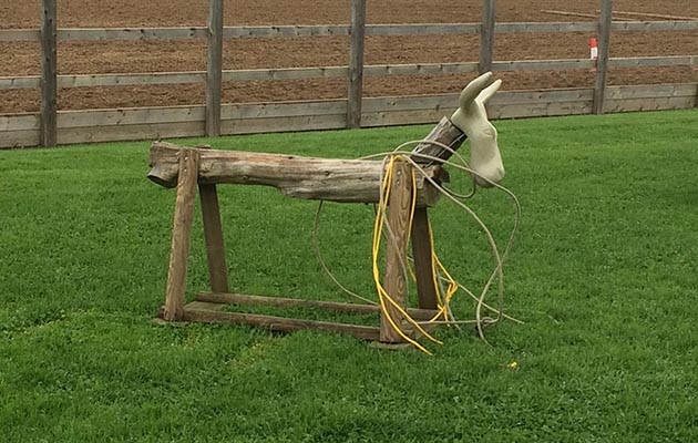 Don’t miss the chance to practise your roping skills