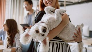dog being cradled in an office
