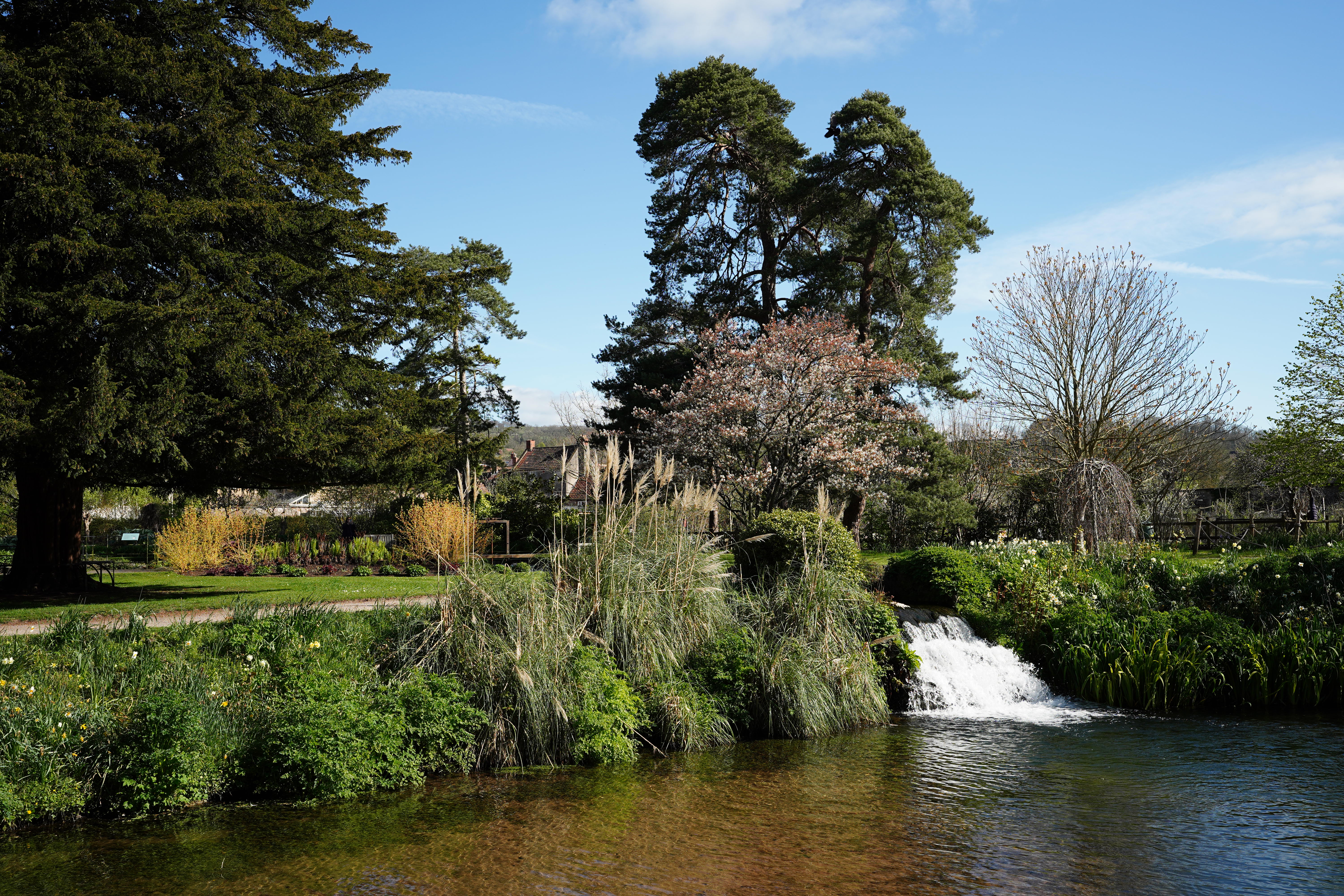 Sigma 35mm f/1.4 DG II Art sample image