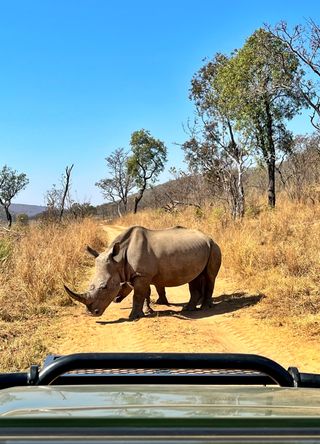 Madikwe Game Reserve, South Africa