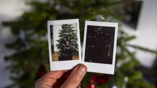 Two instax mini prints of a dog with flash and without