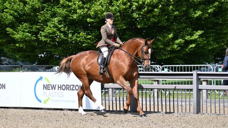 Scarlet Ribbons is 2026 amateur hunter champion at Royal Windsor