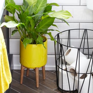 A basket of toilet paper next to a plant potted in a yellow planter
