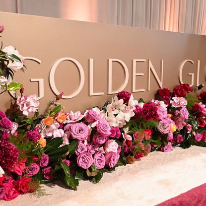 the Golden Globes 2026 red carpet