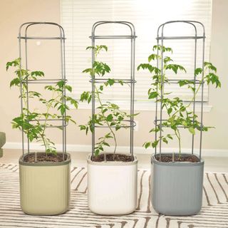 Vego Garden self-watering rolling tomato planter pots with trellis