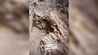 No Syndication for wall of bones photos.