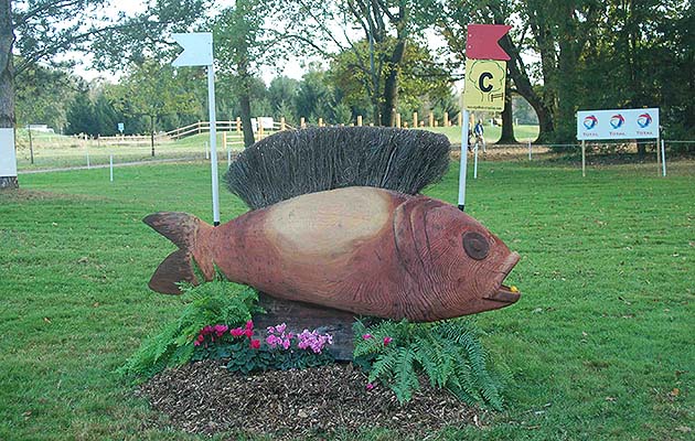 fish-jump