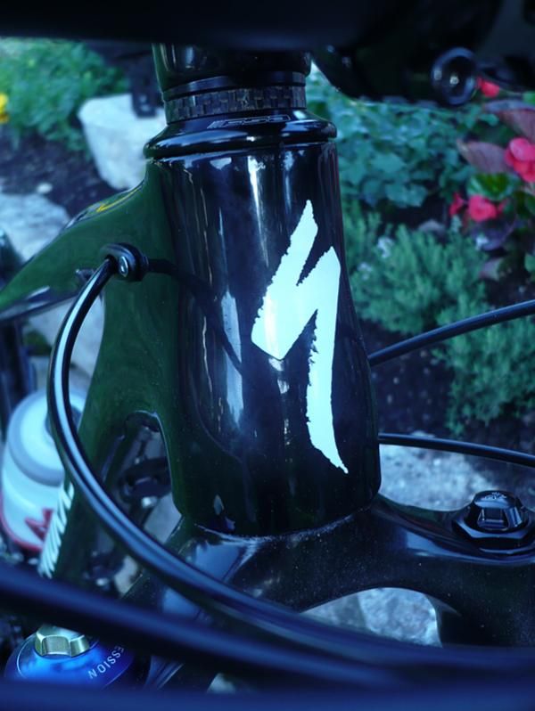 The Specialized Fate head tube tapers. It is shorter than on the Myka to lower the front end for a more aggressive position.