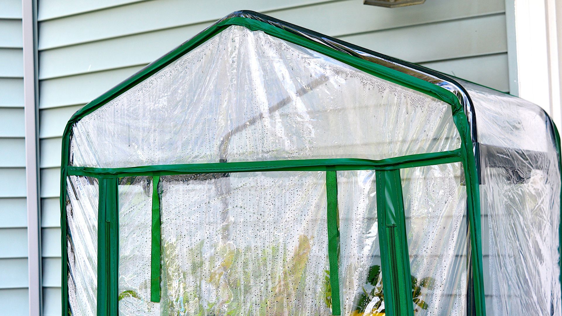 picture of mini plastic greenhouse