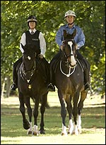 policehorsesbdmain.jpg
