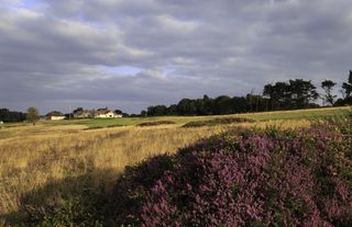 East Devon Golf Club - 2nd hole