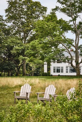 Lawn area with overgrown grass and native plants and trees