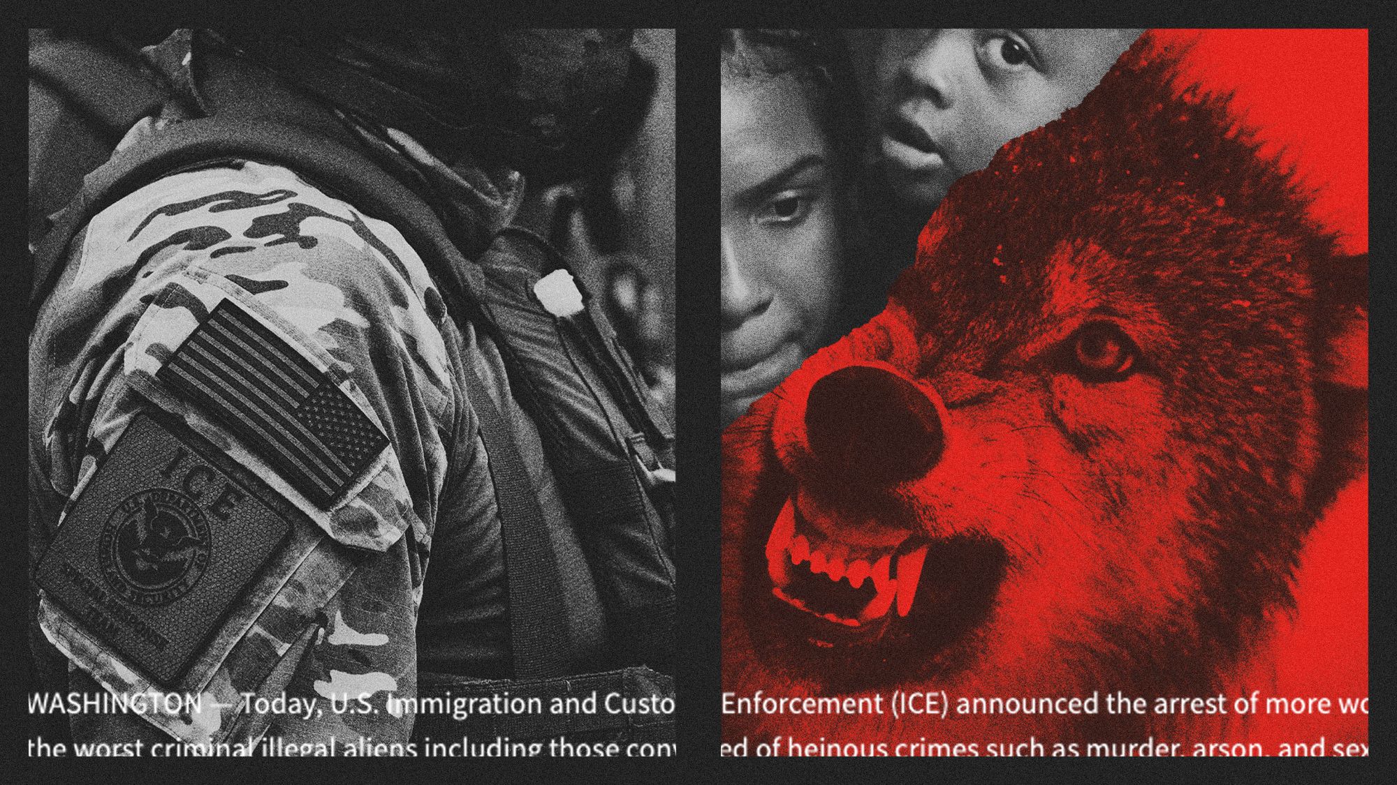 Trump Administration's Deportation Data Contradicts Criminal Claims