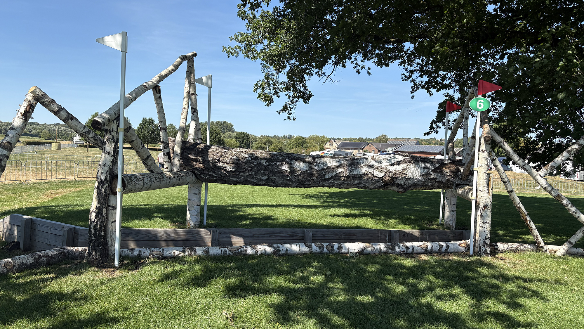 A trakehner fence made of a silver birch log on the eventing World Championships cross-country course in Aachen