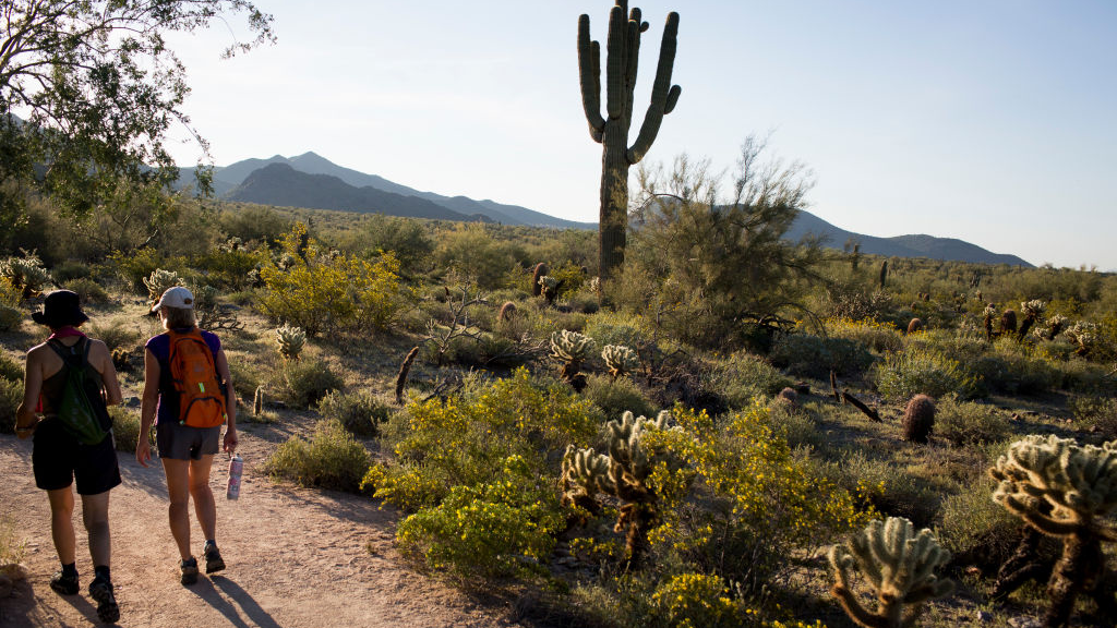 McDowell Sonoran Preserve