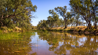 Finke River, Northern Territory.
