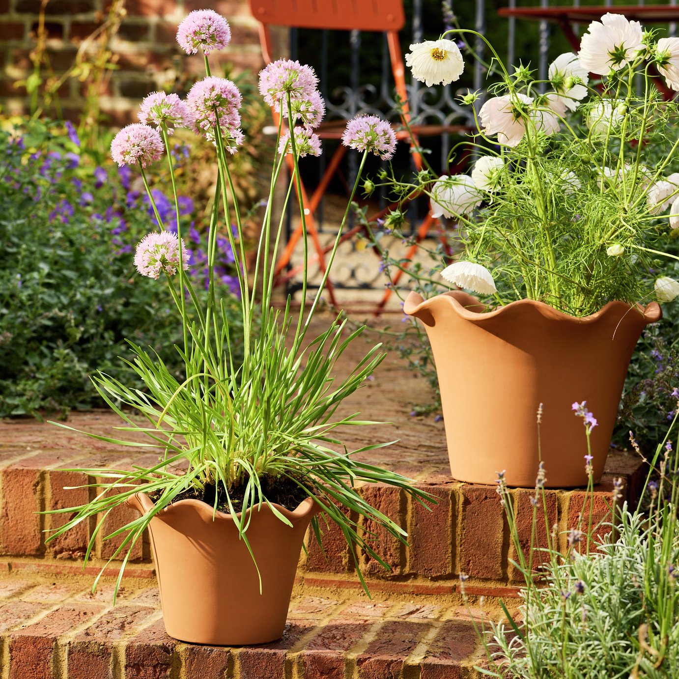 Habitat Scalloped 21cm Clay Planter &amp;ndash; Small