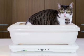 Tailio Smart Health Monitor for Cats