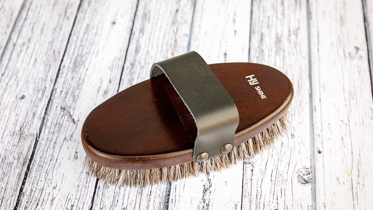 HyShine Deluxe horse hair wooden body brush review