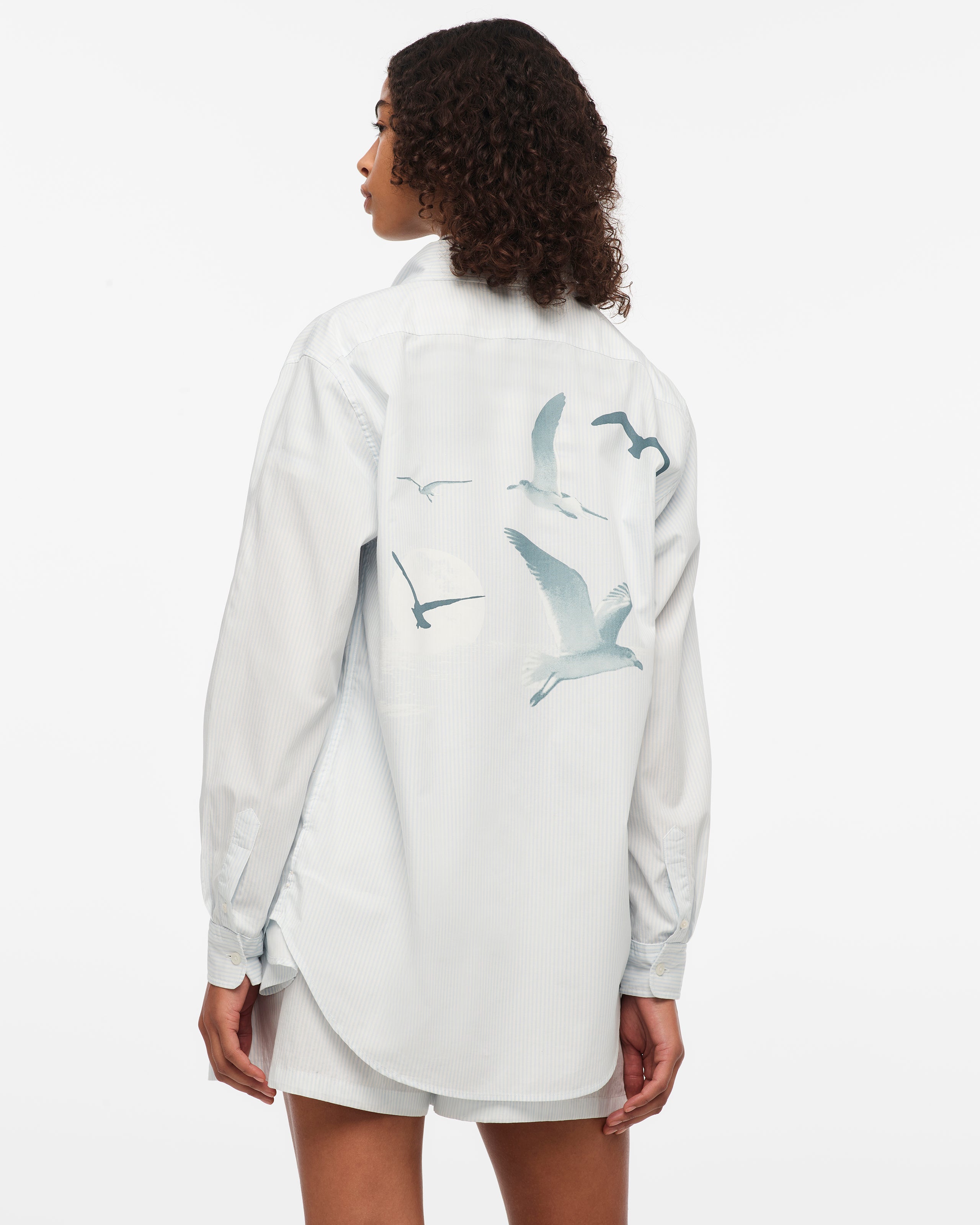 1989 (taylor’s Version) Seagull Blue Stripe Poplin Shirt