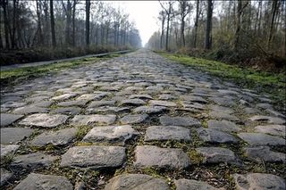 A close up of the Trouée d'Arenberg three days before the 2008 Paris-Roubaix