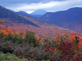 fall-foliage-nh-mntns