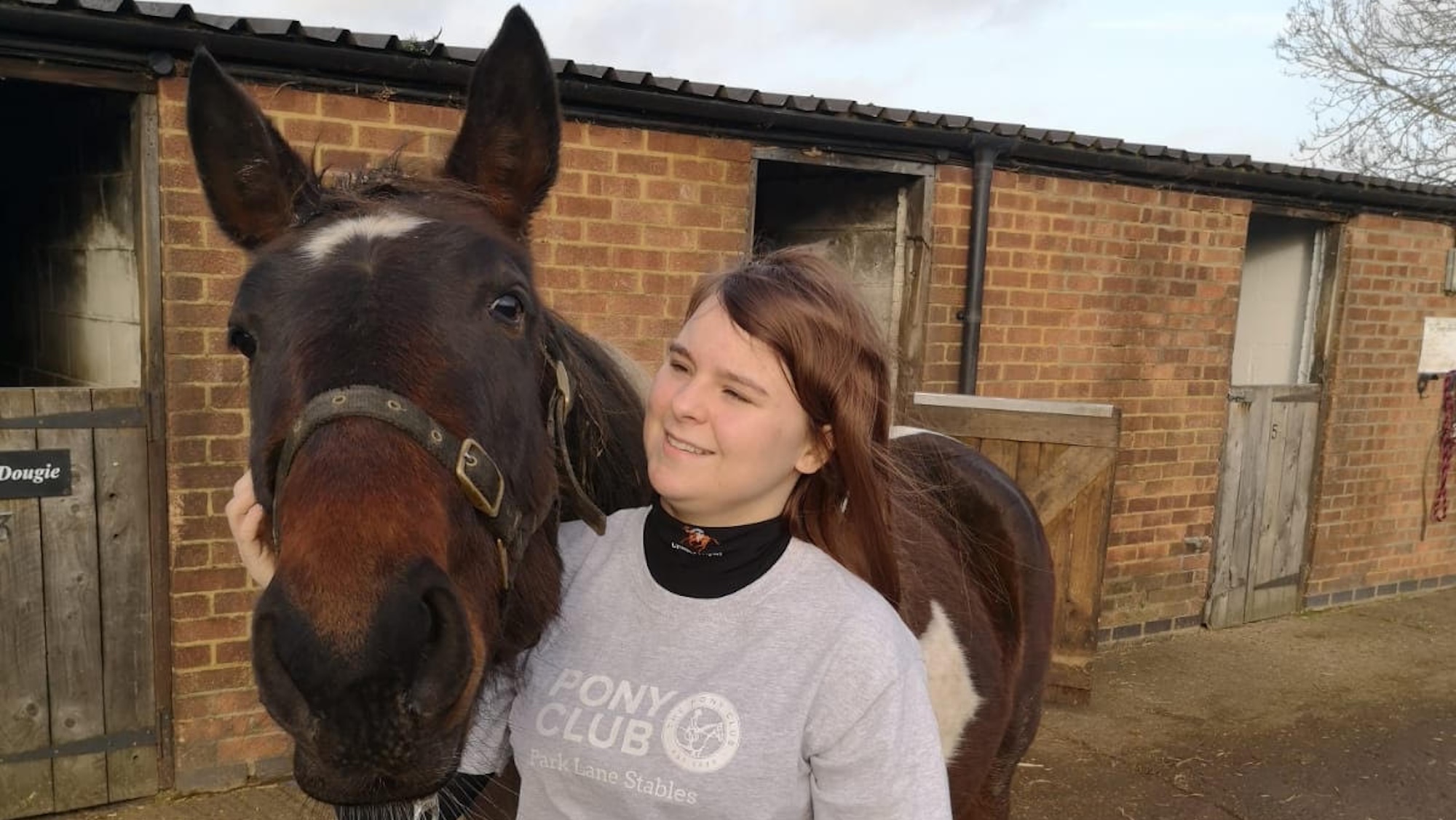 A girl hugging a coloured horse