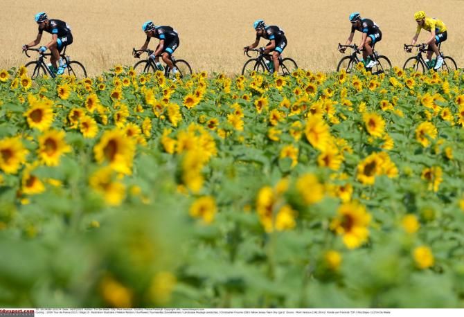 Team Sky riding past a field of poppies