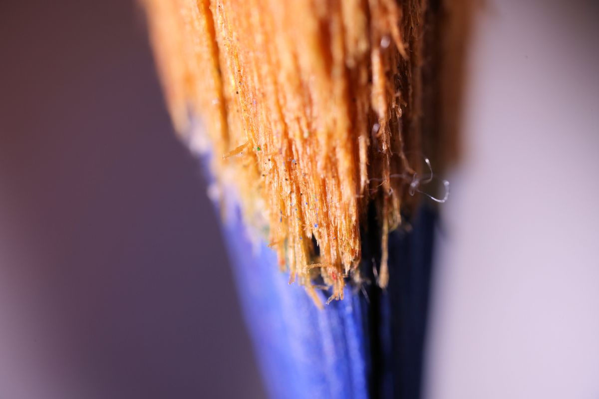 Laowa Aksen 5-10x Ultra Macro APO sample image