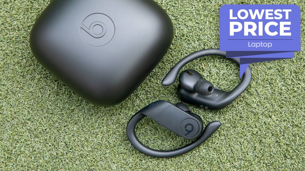 Powerbeats Pro wireless earbuds