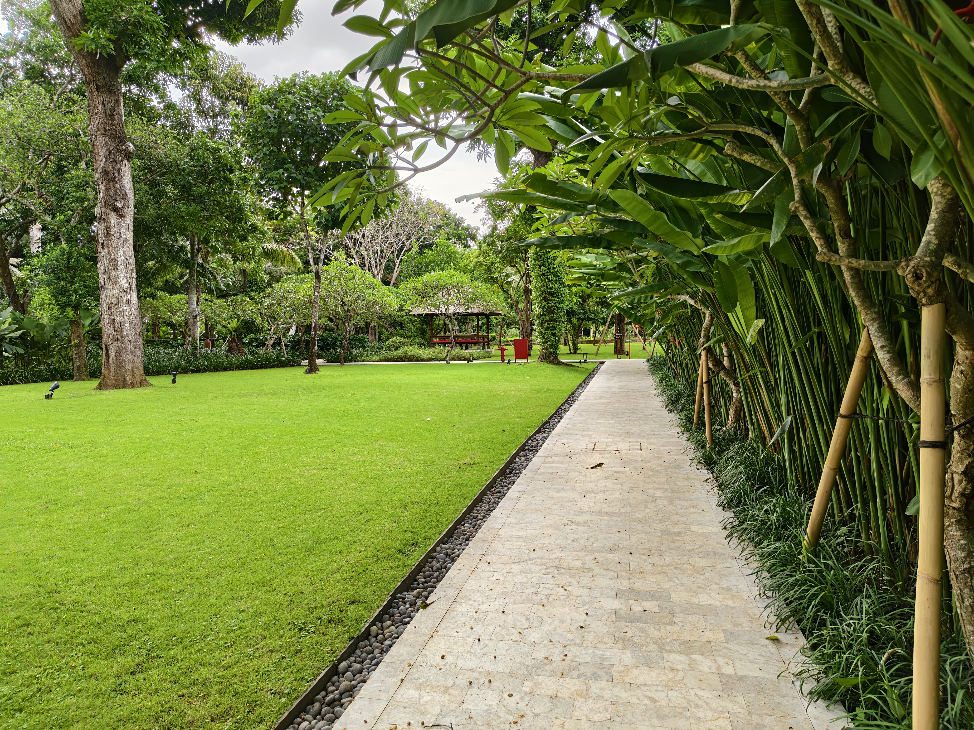 iQOO 15 camera shots on Android Central