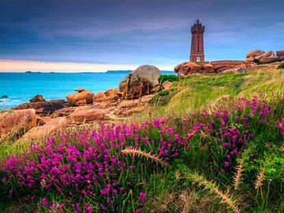 Seaside Garden Full Of Flowers