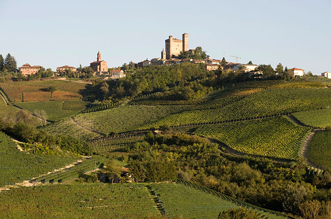 Vietti vineyards