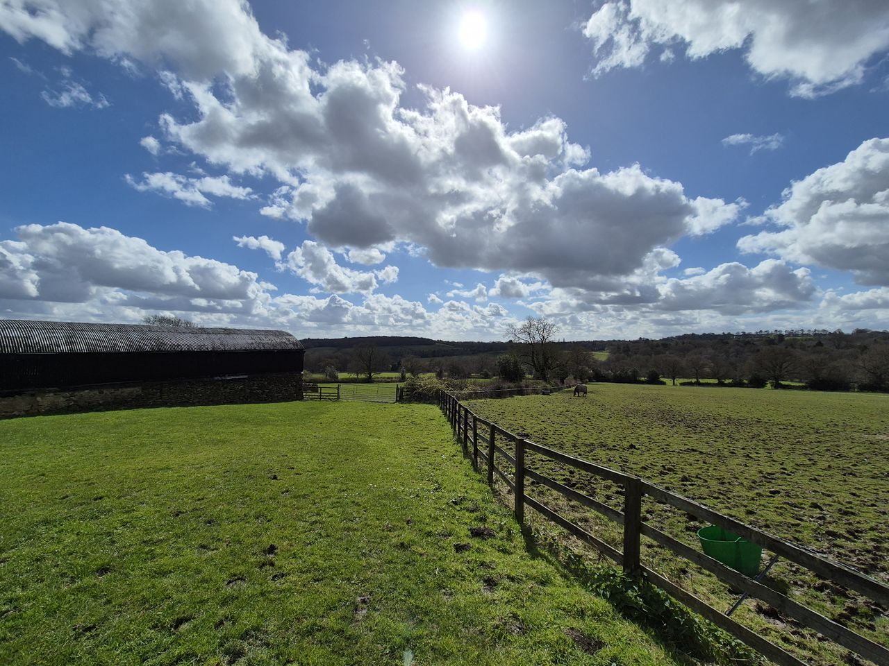 A green field in the sunshine
