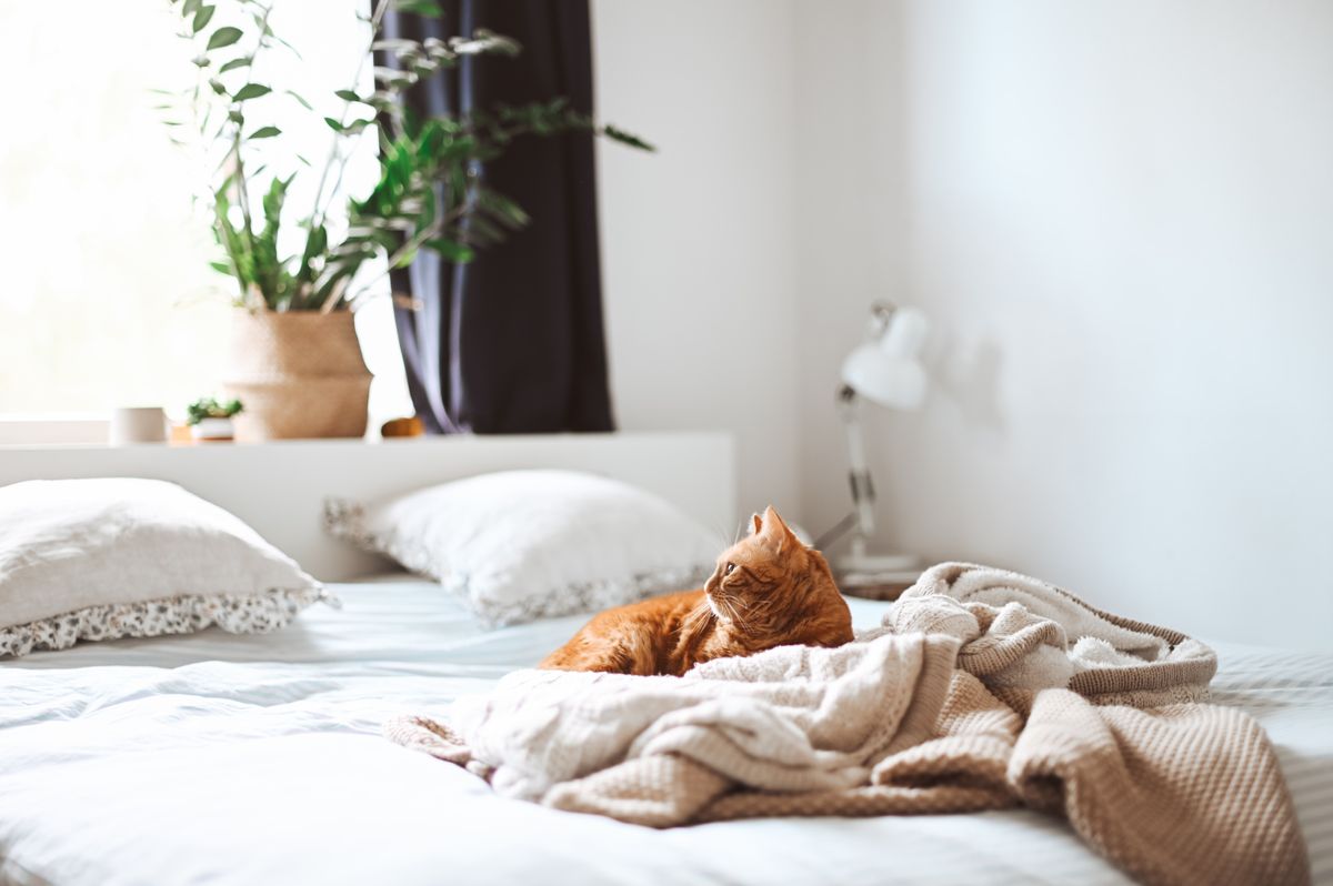How to clean a mattress – sanitize yours with baking soda and more