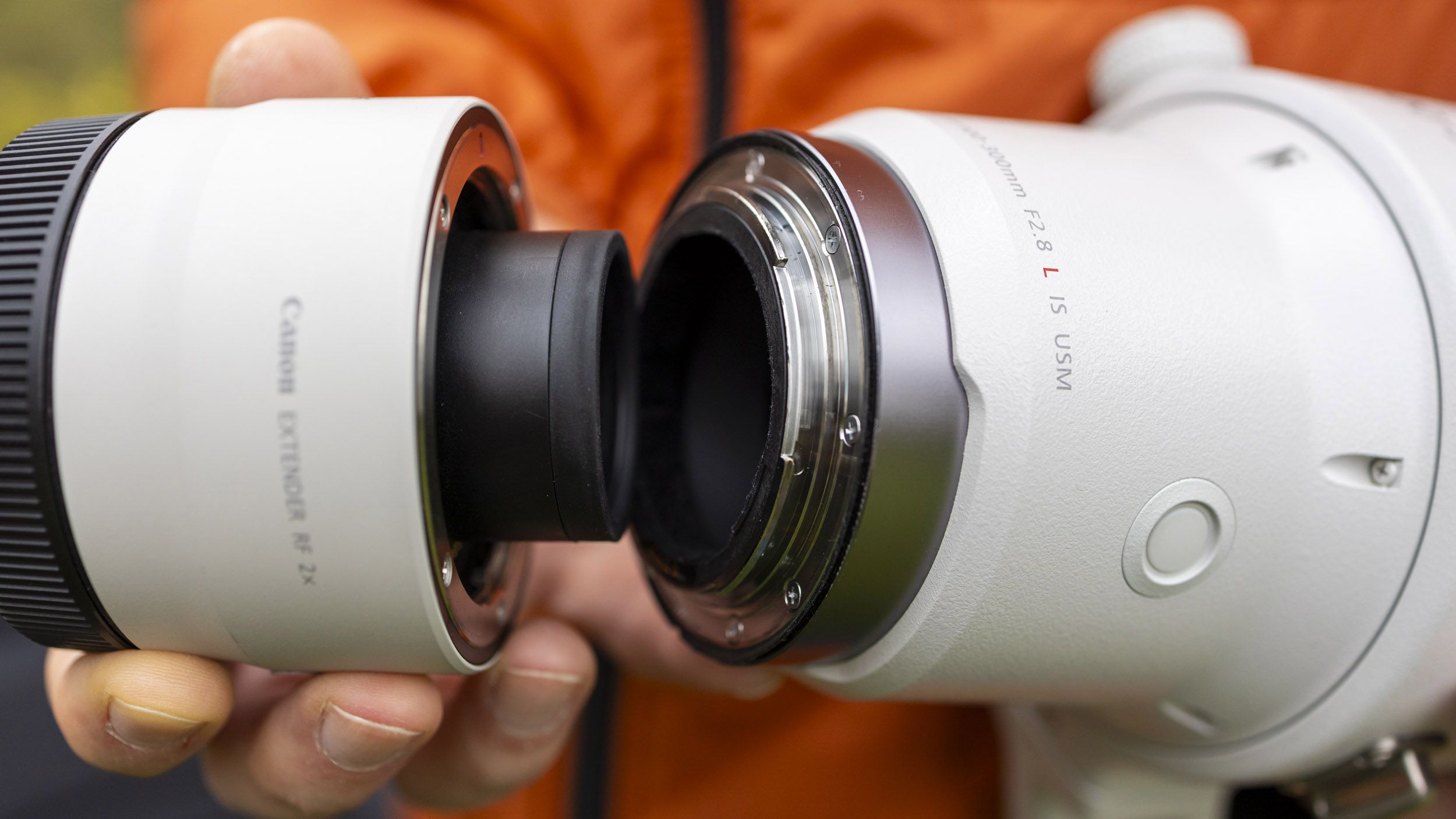 There’s a reason why you can’t put a teleconverter on a cheap lens