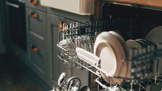 Plates in a dishwasher