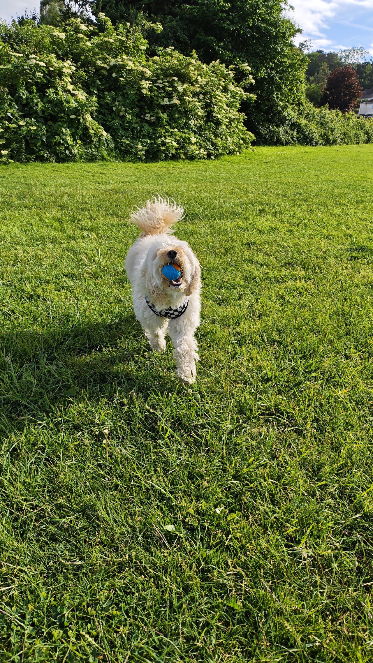 Poco F7 Ultra review sample images