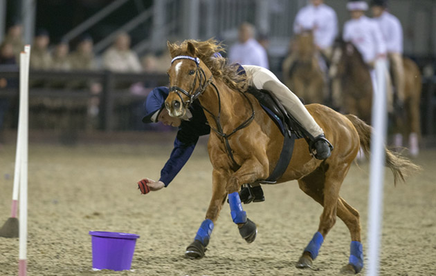 Royal Windsor Horse Show