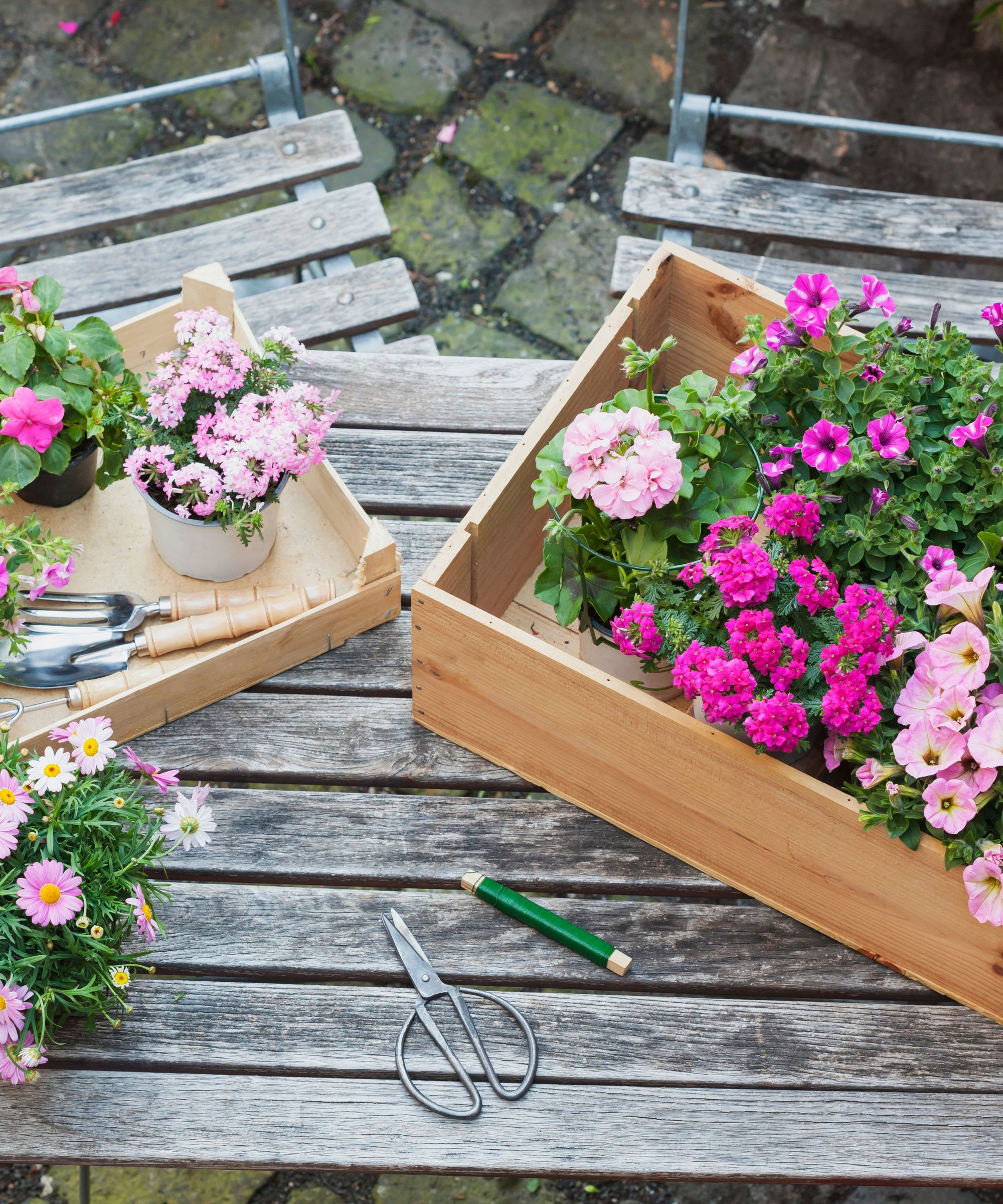 Wood flower boxes filled with pink flowers