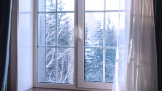 A frozen woodland seen from a bedroom window