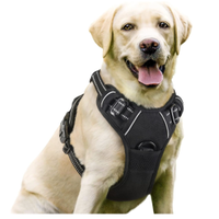 Rabbitgoo Dog Harness