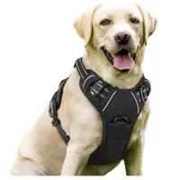 Rabbitgoo No Pull Harness | Amazon